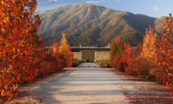 La collection printemps 2026 de La Place : notes de dégustation supplémentaires