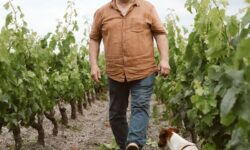 Des centaines de personnes achètent du vin pour aider un viticulteur dont la maison a été détruite par un incendie