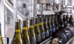 Exportations du Riesling de Moselle chutent de 11 % face à la progression des autres vins blancs européens