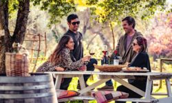 Plus de 50 propositions pour la Journée Nationale du Vin : un parcours à travers le Chili