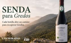 Chaque bouteille de SENDA ECO financera la reconstruction de Gredos après l&rsquo;incendie
