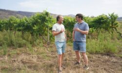 Joaquín Hidalgo voit le Godello de Valdeorras comme une porte d&rsquo;accès au consommateur international