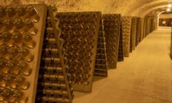 Le Champagne demande d’augmenter le seuil d’alcool de 13% à 15% pour sauver une partie des vendanges