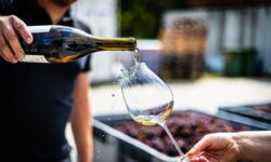 Une machine domestique permettra de réduire l’alcool du vin juste avant de le boire
